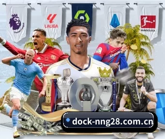 dock-nng28.com.cn APP